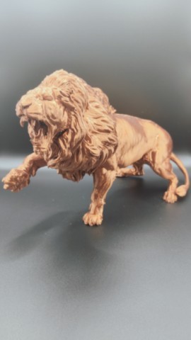 Combat de Lions