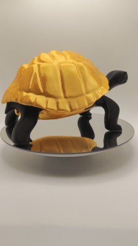 Tortue de terre série Black-Gold